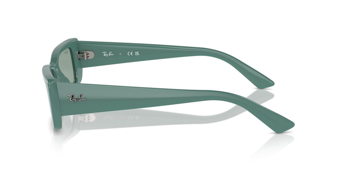 Anteojos De Sol Ray-Ban 0RB4425 Teru Verde/Verde