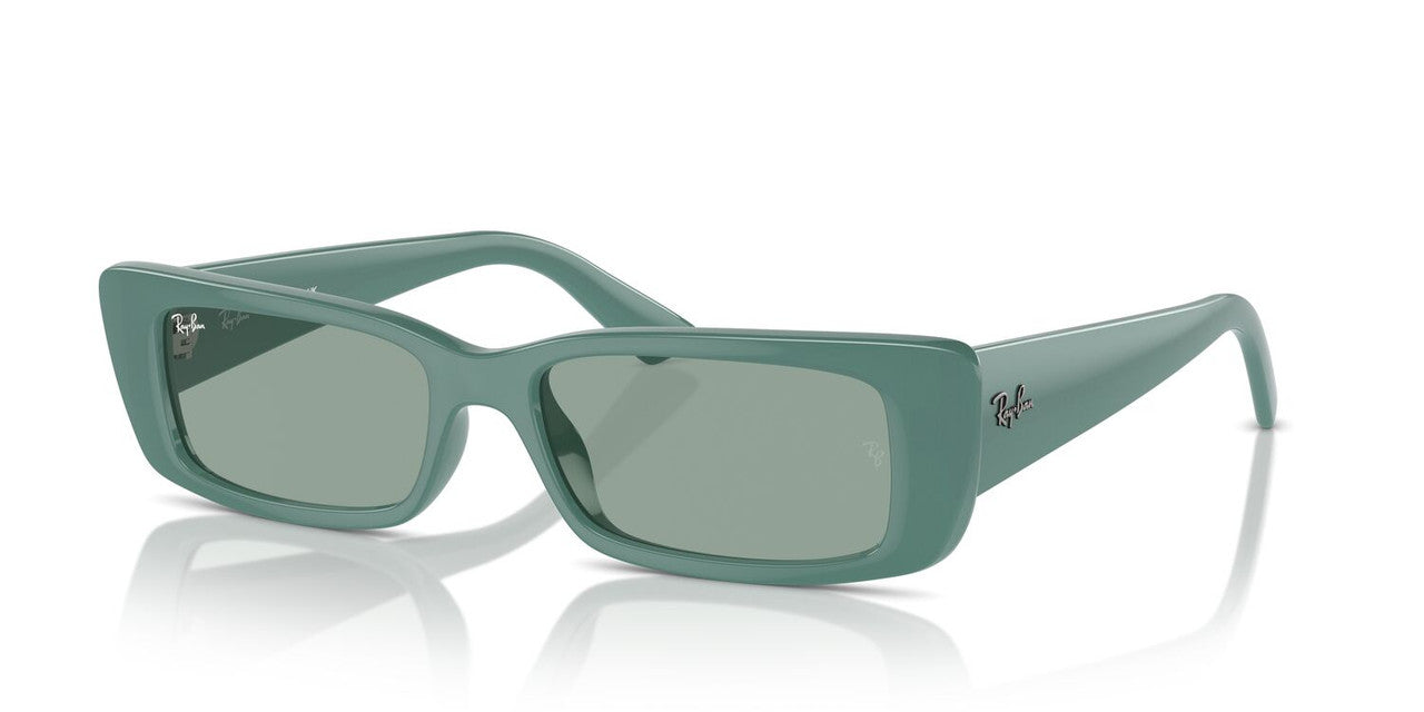 Anteojos De Sol Ray-Ban 0RB4425 Teru Verde/Verde