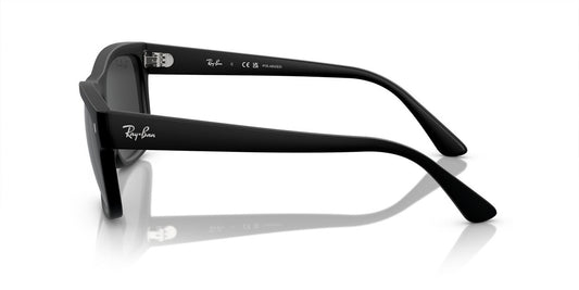 Anteojos De Sol Ray-Ban RB4428 Negro/Negro