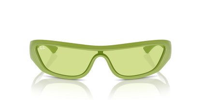 Anteojos De Sol Ray-Ban RB4431 Xan Verde/Verde