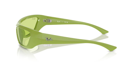 Anteojos De Sol Ray-Ban RB4431 Xan Verde/Verde