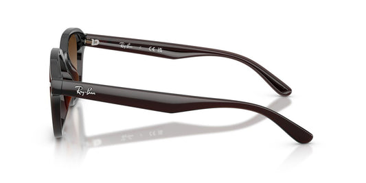 Anteojos De Sol Ray-Ban RB4458D Café/Café