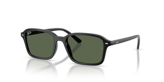 Anteojos De Sol Ray-Ban RJ9131S Black Dark Green