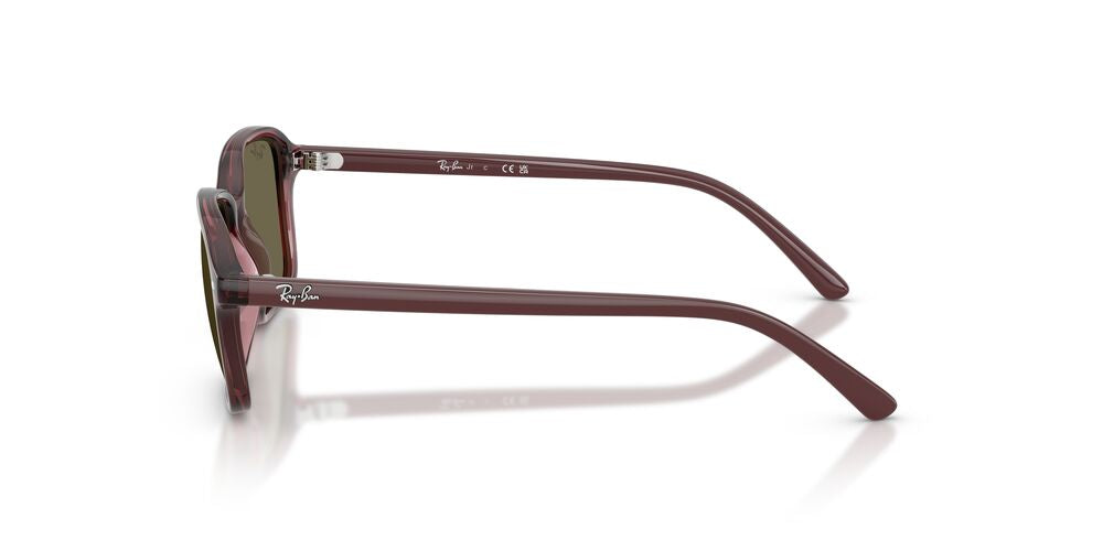 Anteojos De Sol Ray-Ban RJ9131S Transparent Dark Violet Brown