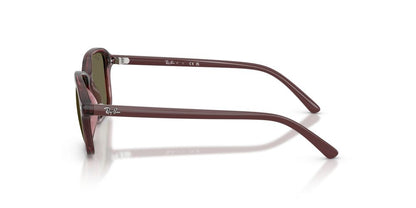 Anteojos De Sol Ray-Ban RJ9131S Transparent Dark Violet Brown