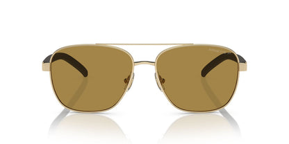 Anteojos De Sol Arnette AN3087 Walvis Café/Dorado