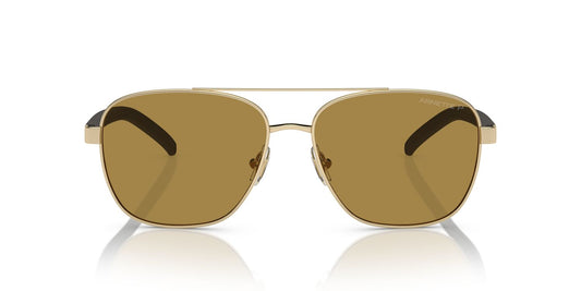 Anteojos De Sol Arnette AN3087 Walvis Café/Dorado