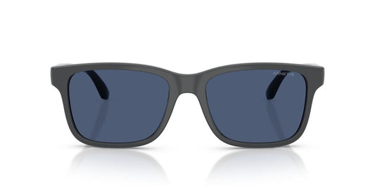 Anteojos De Sol Arnette 0AN4378 Azul/Gris