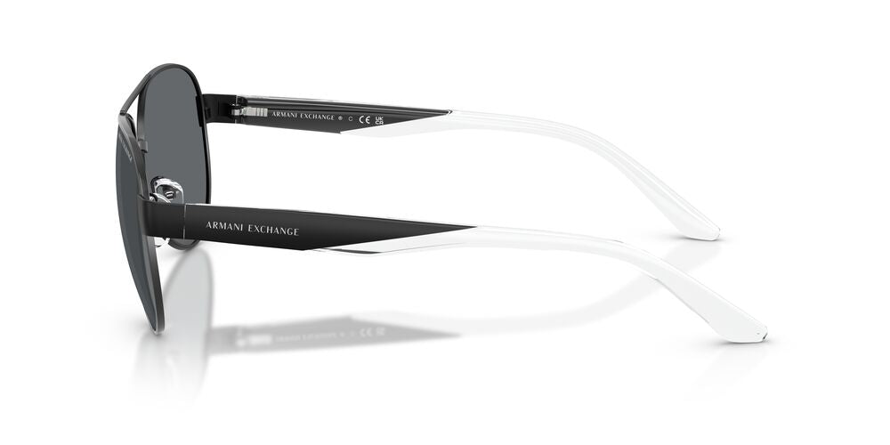 Anteojos De Sol Armani Exchange AX2034S Negro/Negro