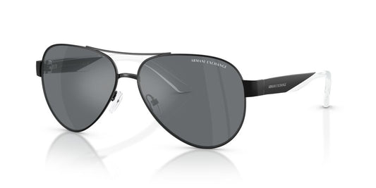 Anteojos De Sol Armani Exchange AX2034S Negro/Negro