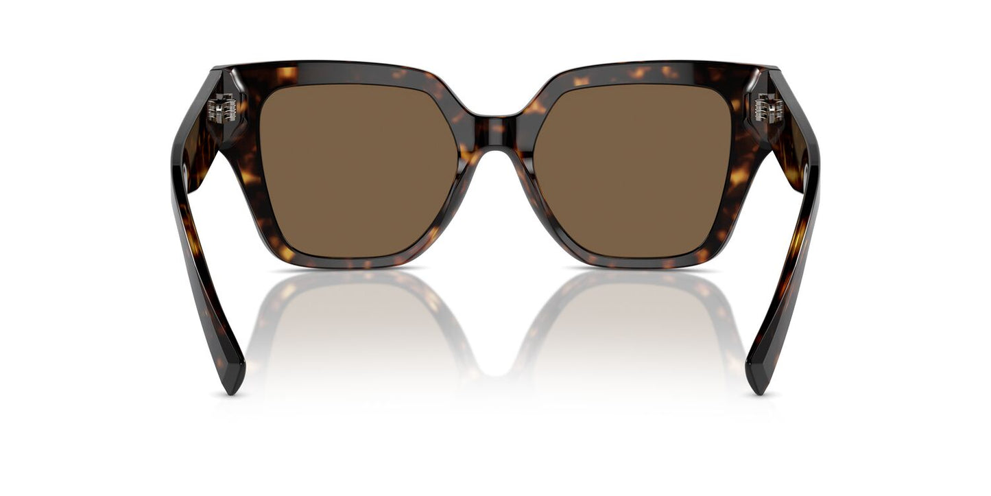 Anteojos De Sol Dolce DG4471 Café/Havana