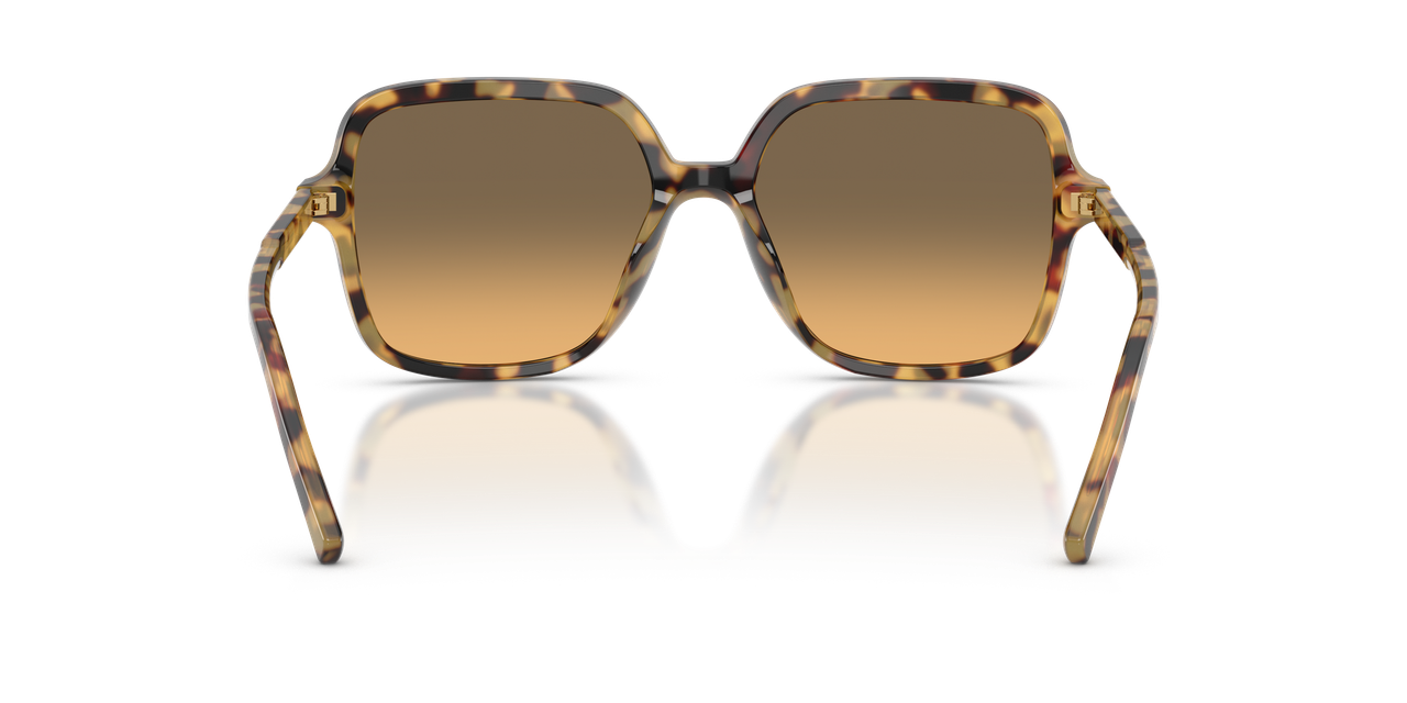 Anteojos De Sol Dolce&Gabbana 0DG4539 Café/Café