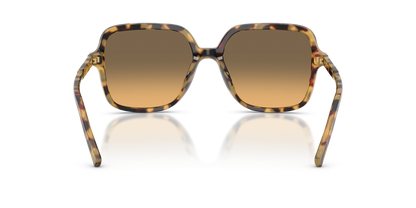 Anteojos De Sol Dolce&Gabbana 0DG4539 Café/Café
