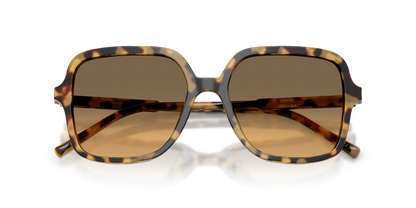 Anteojos De Sol Dolce&Gabbana 0DG4539 Café/Café