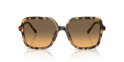 Anteojos De Sol Dolce&Gabbana 0DG4539 Café/Café