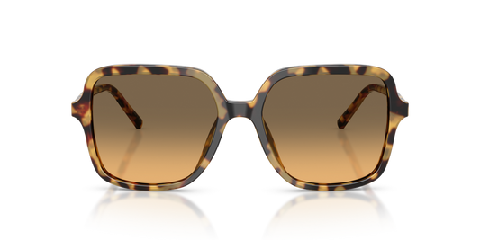 Anteojos De Sol Dolce&Gabbana 0DG4539 Café/Café