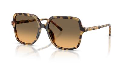 Anteojos De Sol Dolce&Gabbana 0DG4539 Café/Café