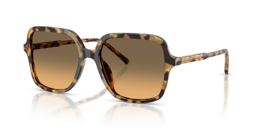 Anteojos De Sol Dolce&Gabbana 0DG4539 Café/Café
