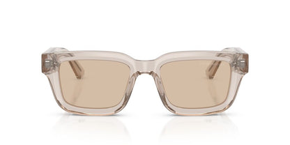 Anteojos De Sol Emporio Armani 0EA4270 Café/Gris