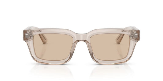 Anteojos De Sol Emporio Armani 0EA4270 Café/Gris