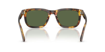 Anteojos De Sol Emporio Armani 0EA4282U Verde/Café