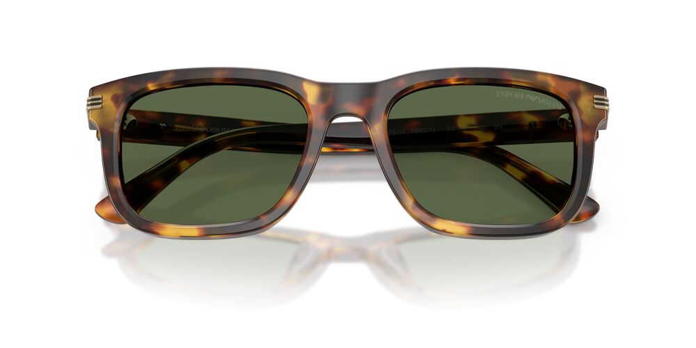 Anteojos De Sol Emporio Armani 0EA4282U Verde/Café
