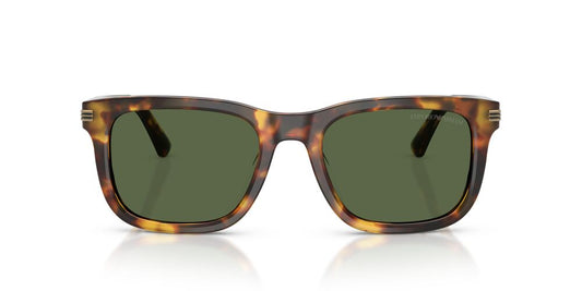 Anteojos De Sol Emporio Armani 0EA4282U Verde/Café