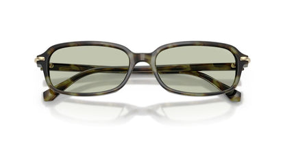 Anteojos De Sol Michael Kors 0MK2288U Agra Verde/Verde