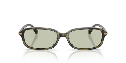 Anteojos De Sol Michael Kors 0MK2288U Agra Verde/Verde