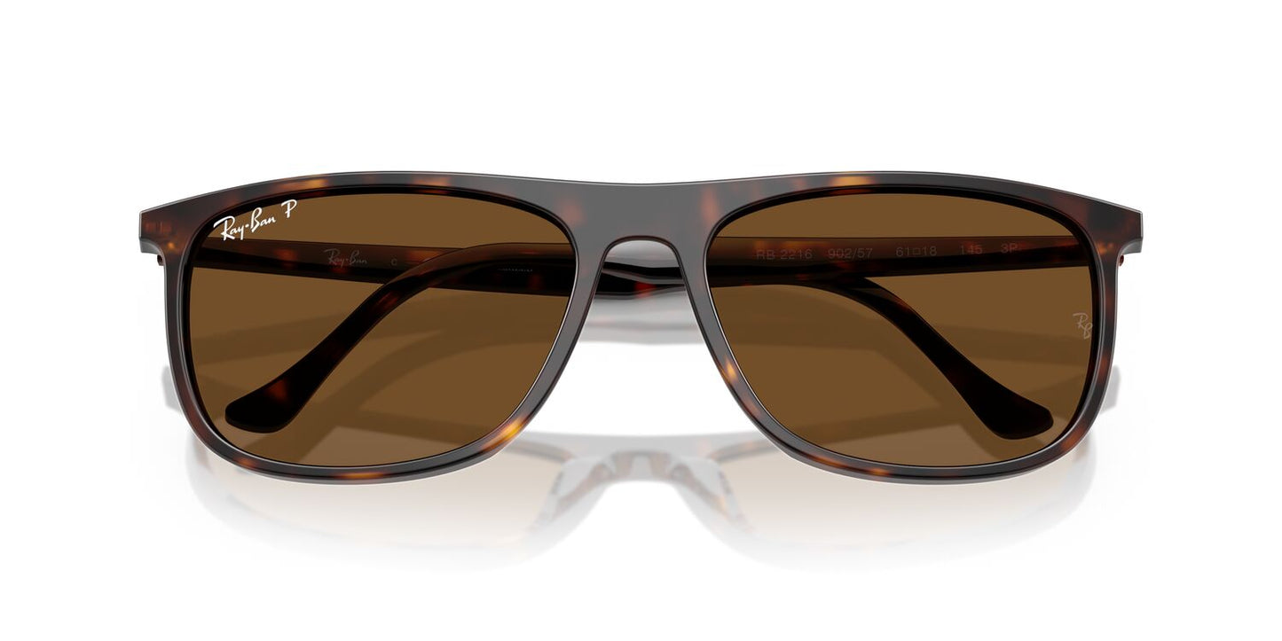 Anteojos De Sol Ray-Ban RB2216 Marron/Havana