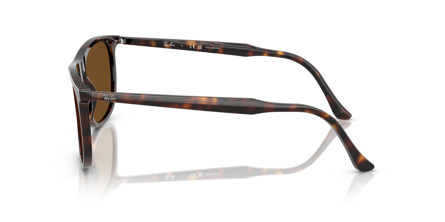 Anteojos De Sol Ray-Ban RB2216 Marron/Havana