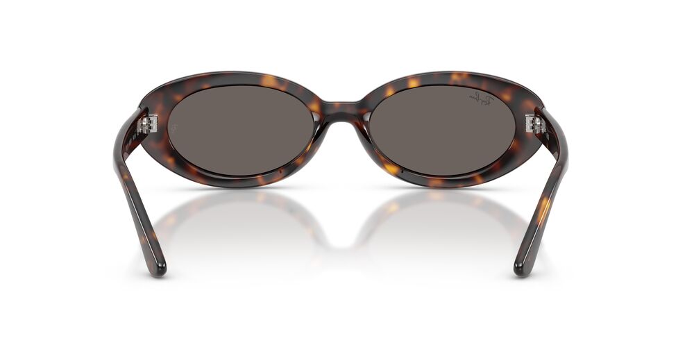 Anteojos De Sol Ray-Ban 0RB2223 Gris/Havana