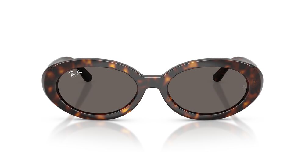 Anteojos De Sol Ray-Ban 0RB2223 Gris/Havana