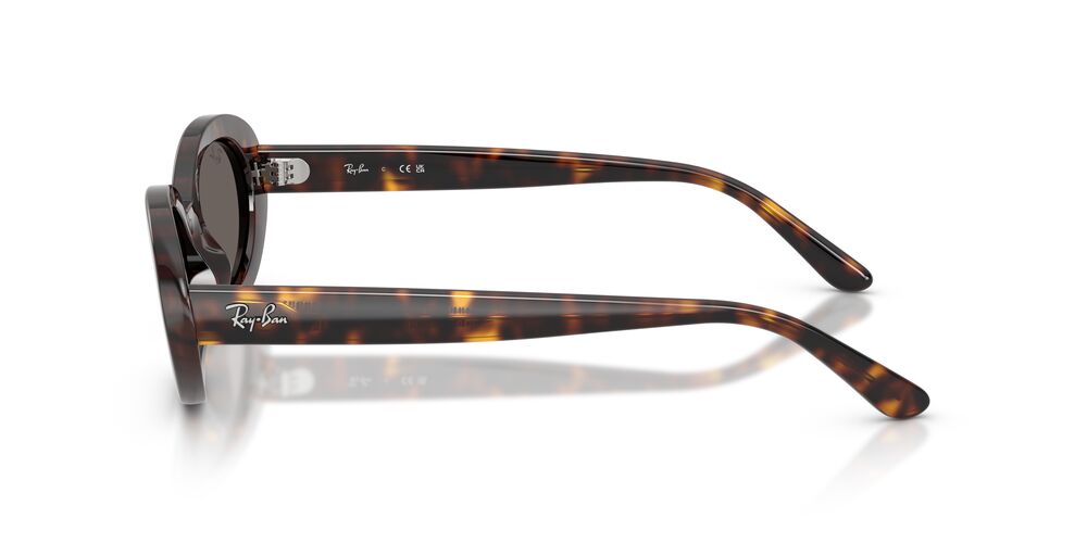 Anteojos De Sol Ray-Ban 0RB2223 Gris/Havana