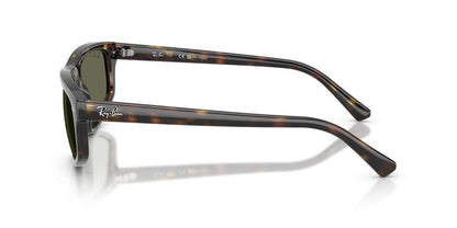 Anteojos De Sol Ray-Ban 0RB2225 Verde/Havana