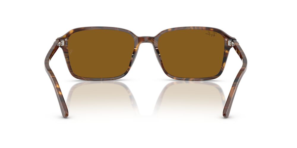 Anteojos De Sol Ray-Ban RB2231 Raimond Café/Café