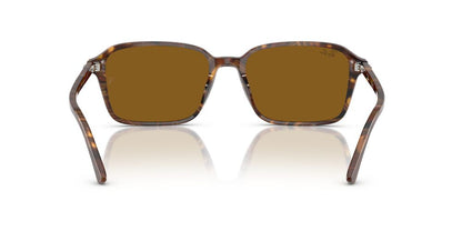 Anteojos De Sol Ray-Ban RB2231 Raimond Café/Café