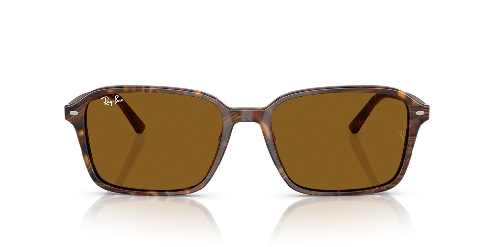 Anteojos De Sol Ray-Ban RB2231 Raimond Café/Café
