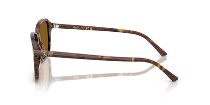 Anteojos De Sol Ray-Ban RB2231 Raimond Café/Café