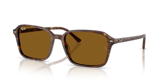 Anteojos De Sol Ray-Ban RB2231 Raimond Café/Café