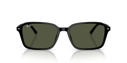 Anteojos De Sol Ray-Ban RB2231 Raimond Verde/Negro