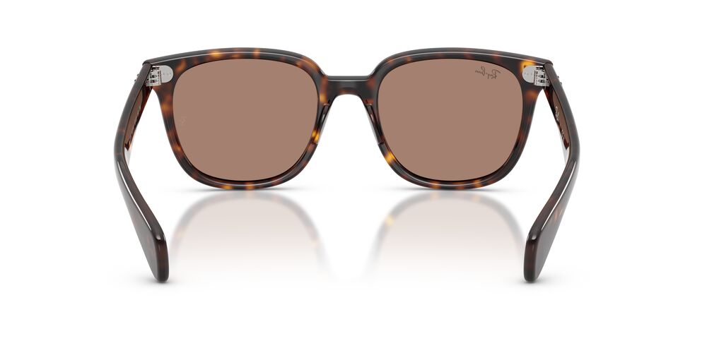 Anteojos De Sol Ray-Ban 0RB2235 Brunel Violeta/Havana