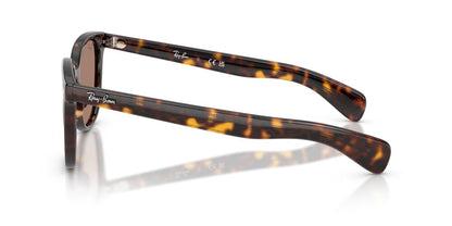 Anteojos De Sol Ray-Ban 0RB2235 Brunel Violeta/Havana