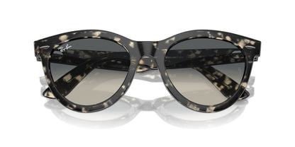 Anteojos De Sol Ray-Ban RB2241 Wayfarer Way Gris/Gris