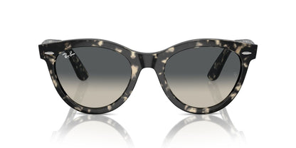Anteojos De Sol Ray-Ban RB2241 Wayfarer Way Gris/Gris