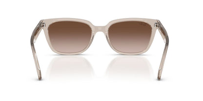 Anteojos De Sol Ray-Ban 0RB2243D Café/Marrón