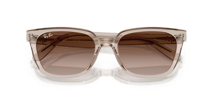 Anteojos De Sol Ray-Ban 0RB2243D Café/Marrón