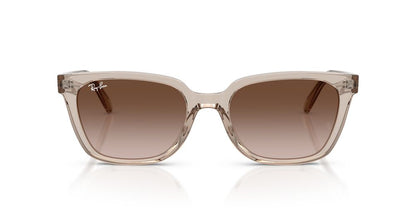 Anteojos De Sol Ray-Ban 0RB2243D Café/Marrón