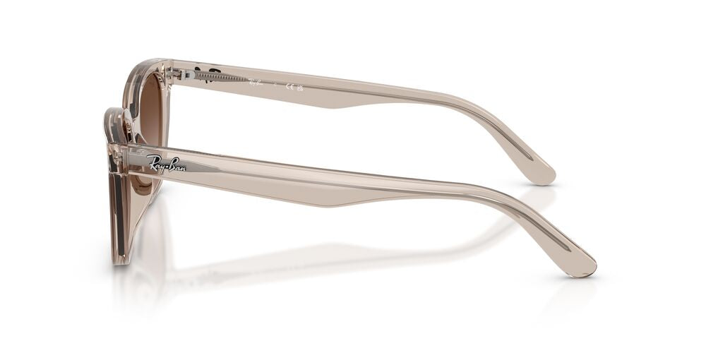 Anteojos De Sol Ray-Ban 0RB2243D Café/Marrón