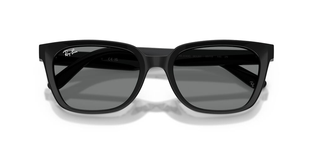 Anteojos De Sol Ray-Ban 0RB2243D Gris/Negro